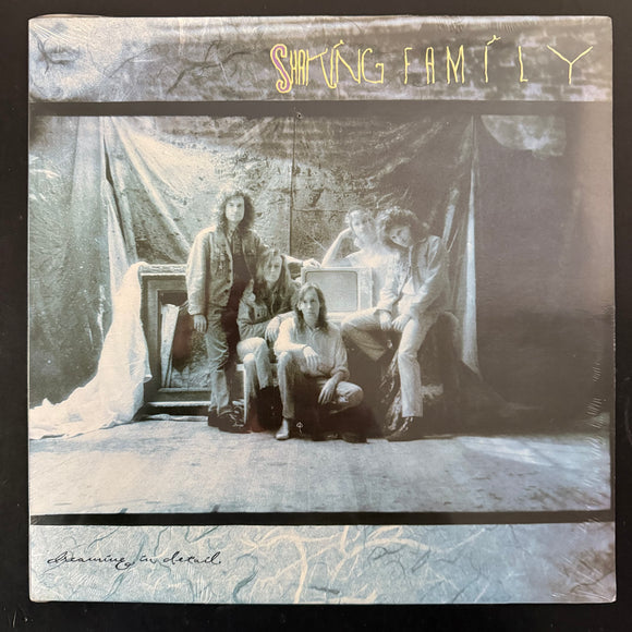 Shaking Family - Dreaming In Detail (SA)