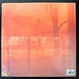 Alfredo Thiermann & Tres Warren - Land In The Sky (Chile)