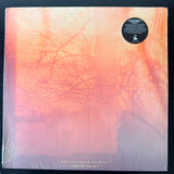 Alfredo Thiermann & Tres Warren - Land In The Sky (Chile)