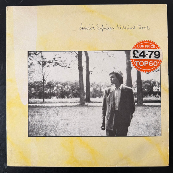 David Sylvian - Brilliant Trees (UK)