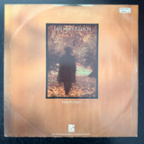 Ian McCulloch - September Song (UK) 12" Maxi Single (Copy)