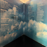 Peter Green - In The Skies (Gatefold)