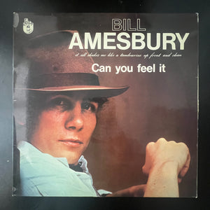 Bill Amesbury - Can You Feel It