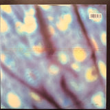 Brian Kennedy - The Great War Of Words (SA) LP+12" Maxi