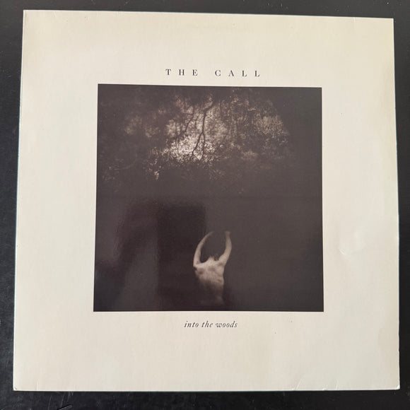The Call - Into The Woods (Europe)