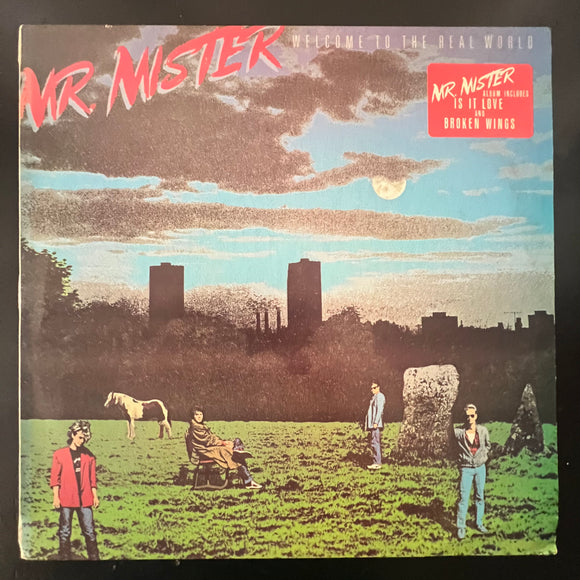 Mr. Mister - Welcome To The Real World