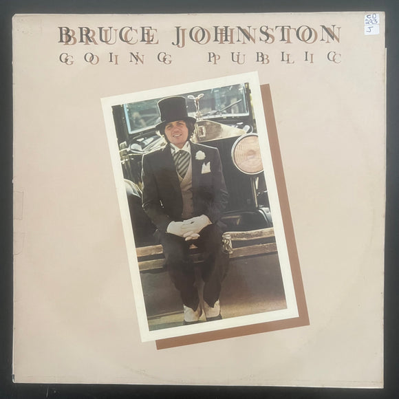 Bruce Johnston - Going Public