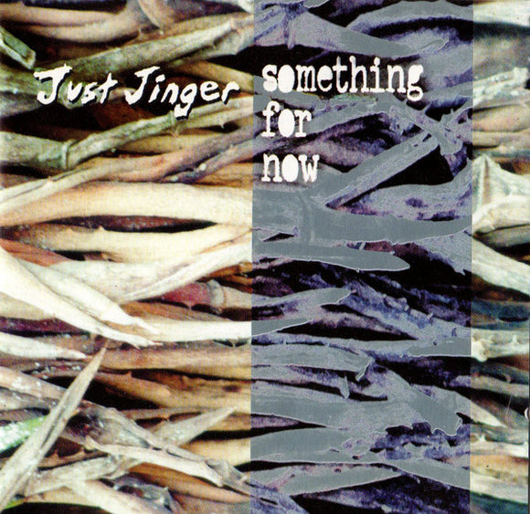 Just Jinger – Something For Now