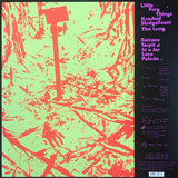 Dinosaur Jr. - You're Living All Over Me