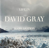 David Gray - Life In Slow Motion (2xLP, 20th Anniversary on glacial blue)