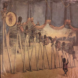 Neutral Milk Hotel - In The Aeroplane Over The Sea (US)