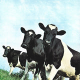 Pink Floyd - Atom Heart Mother (Gatefold, 180g)