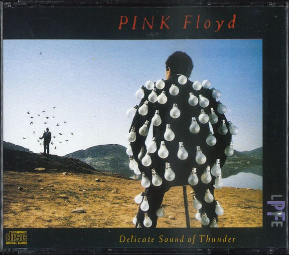 Pink Floyd - Delicate Sound Of Thunder (2xCD)