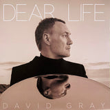David Gray - Dear Life (2xLP Limited green vinyl)