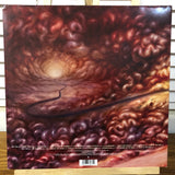 Iron Maiden - Death On The Road (2 x LP Picture Disc Gatefold)