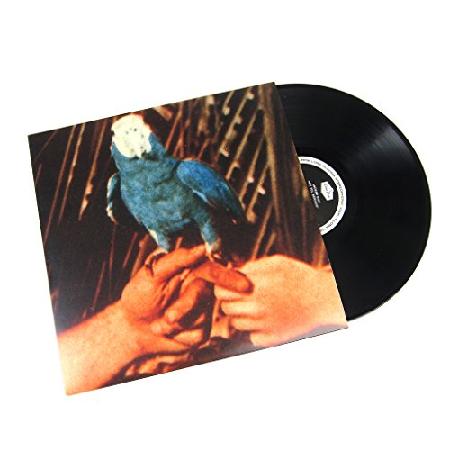 Andrew Bird - Are You Serious (Pre-Order)