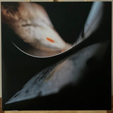 Cocteau Twins - Stars And Topsoil A Collection (1982-1990) (White vinyl)